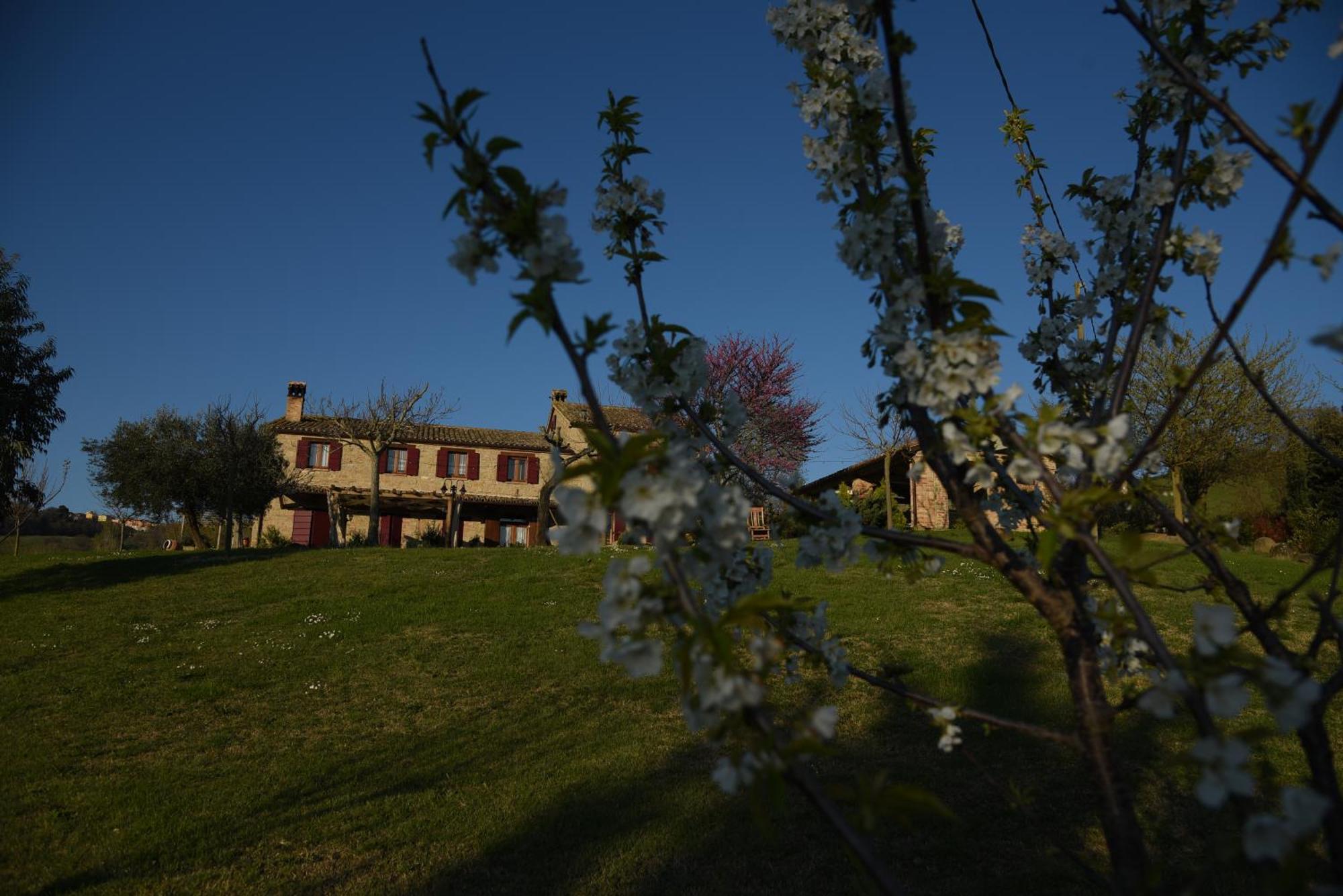 Bed and Breakfast Quelli Del Picchio Cupramontana Экстерьер фото